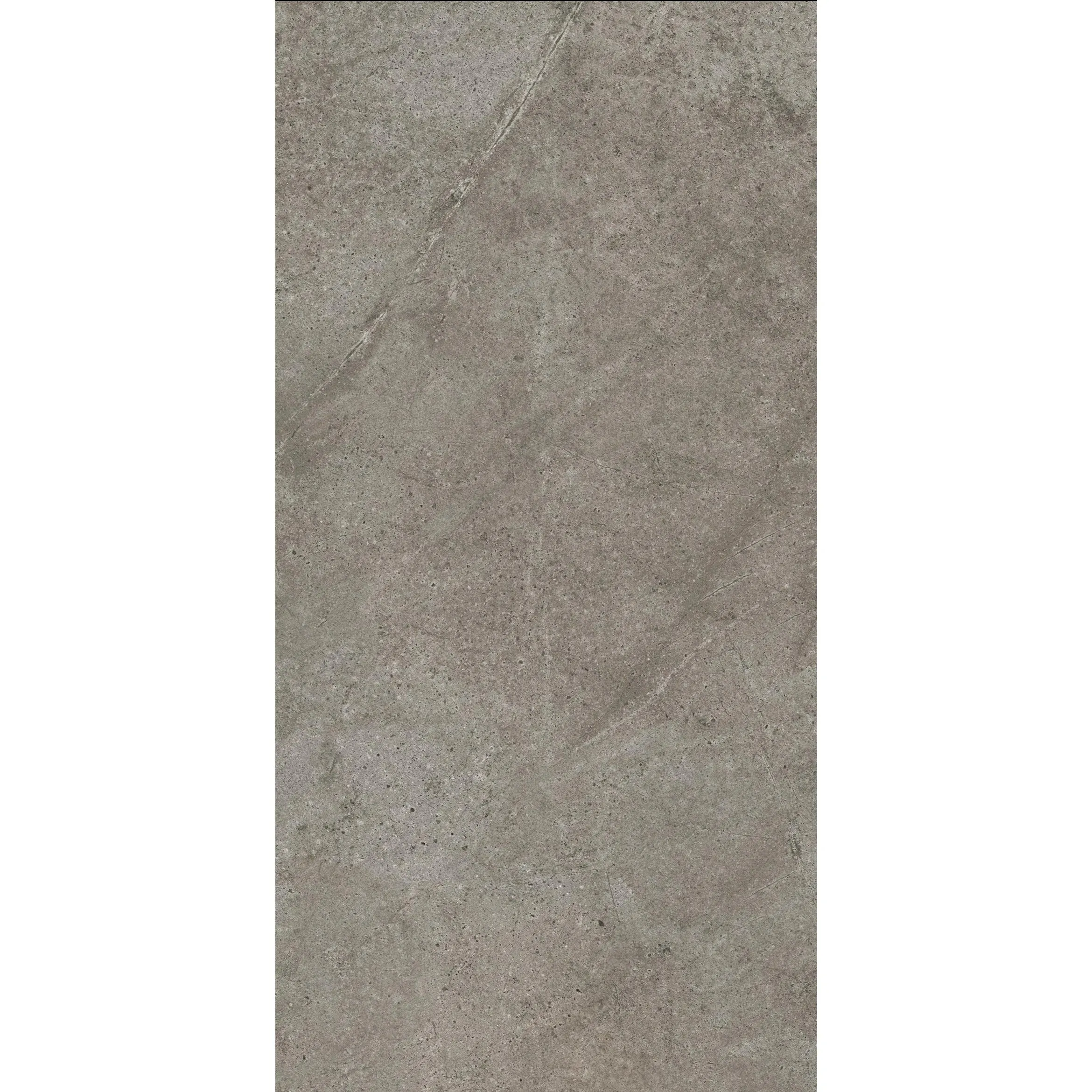 Luxury Taupe Tile - Stunning natural veins to enhance character