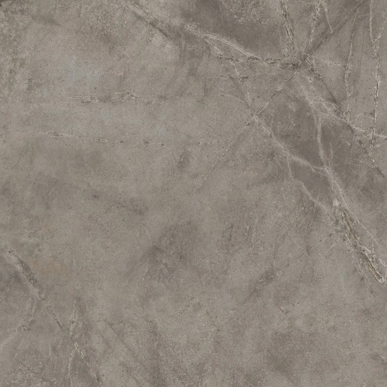 Luxury Taupe Tile - Stunning natural veins to enhance character