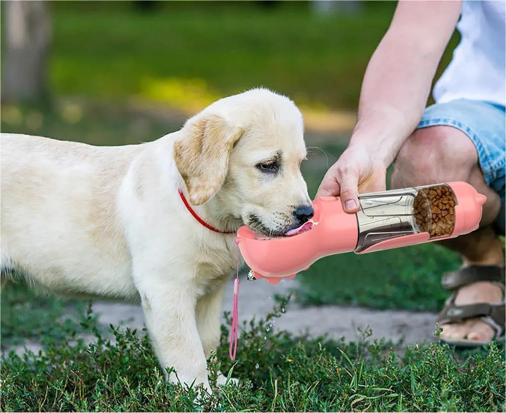 Portable Pet Water Bottle for Outdoor Travel