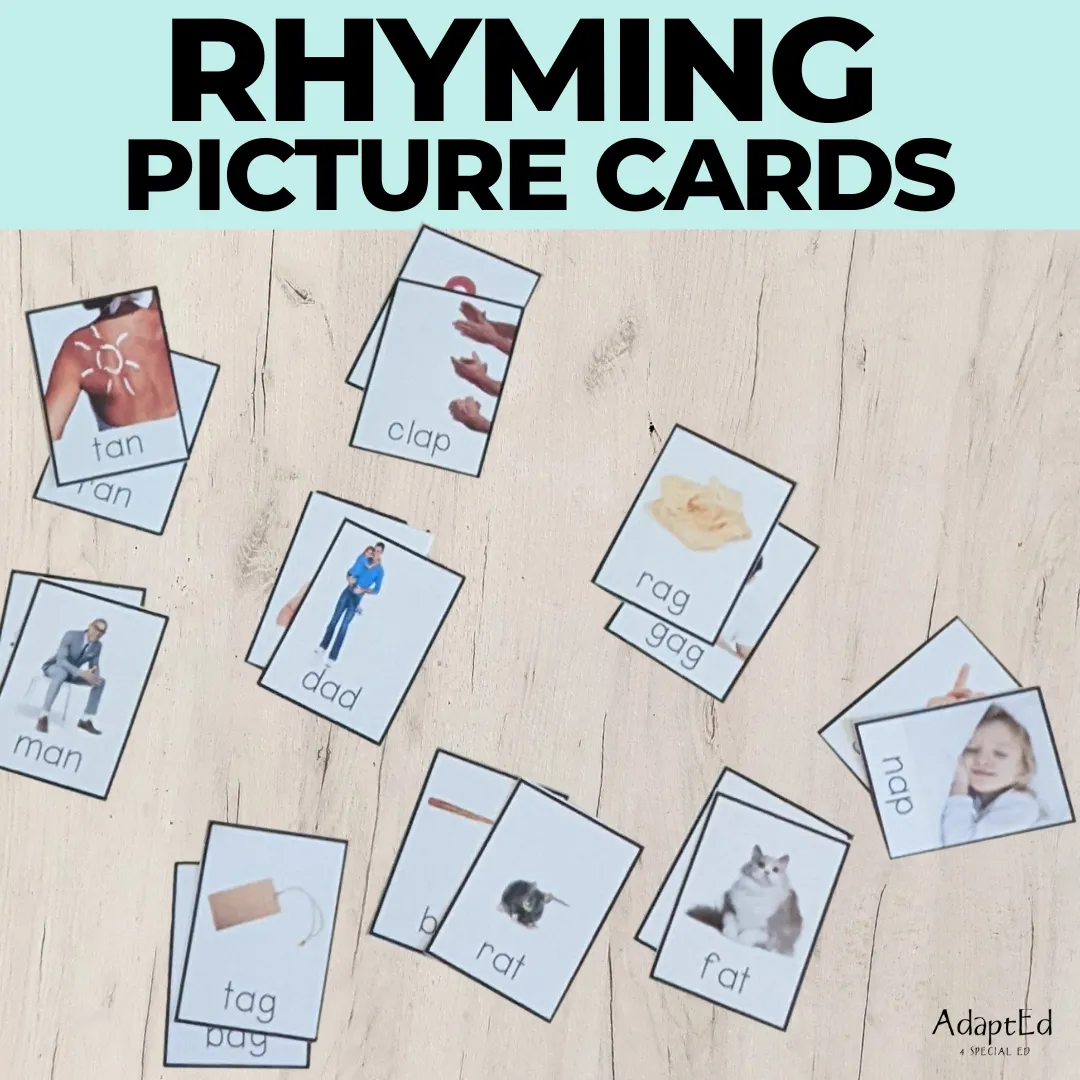 Rhyming Pictures Cards for Rhyming Practice Phonemic Awareness