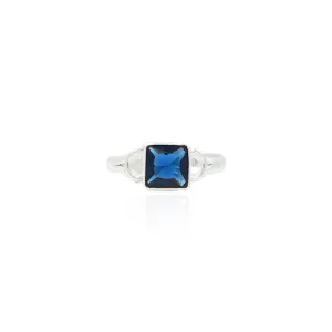 Silver Gorgeous Navy Blue Ring